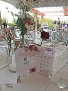 greta2